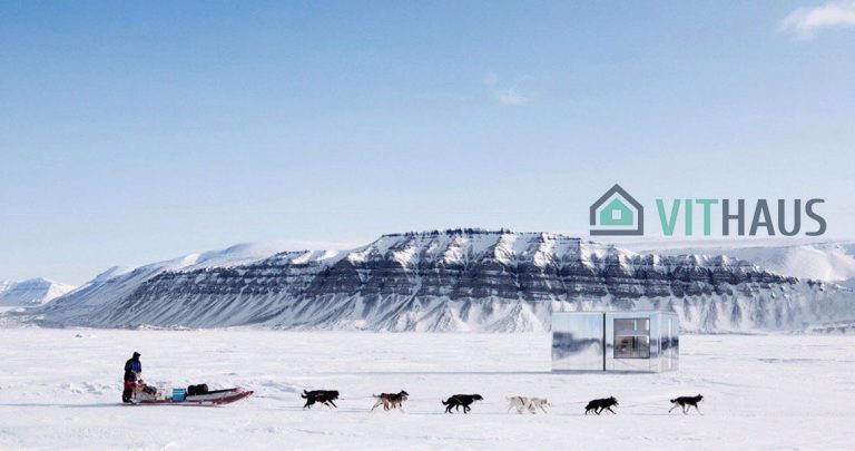 Biwi in the north