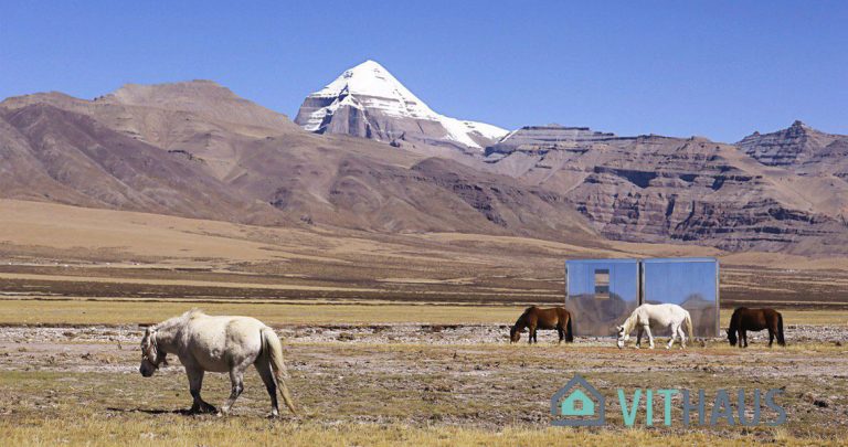 Biwi in the steppes